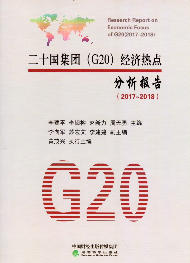 后入内射肥视频二十国集团（G20）经济热点分析报告（2017-2018）