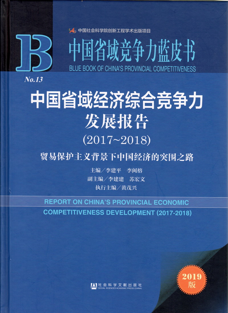 鸡巴日逼视频中国省域经济综合竞争力发展报告（2017-2018）