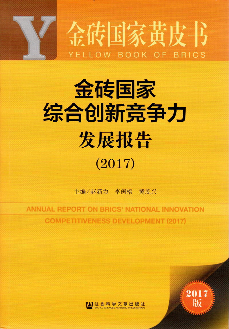 操逼逼干逼逼哦哦哦干我金砖国家综合创新竞争力发展报告（2017）